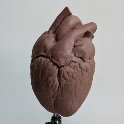 Heart Sculpt